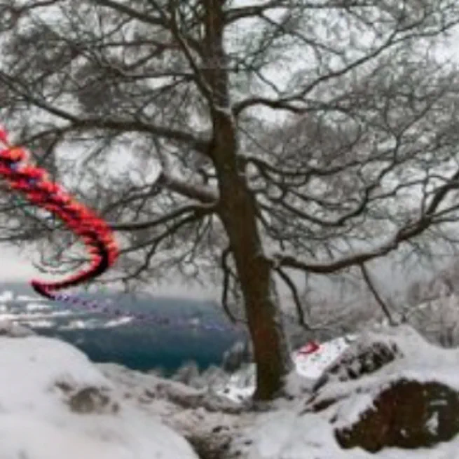 Guest Lecturer at "Real-World Robot Learning", University of Pennsylvania"