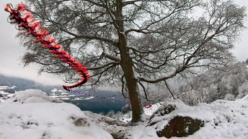 Guest Lecturer at "Real-World Robot Learning", University of Pennsylvania"